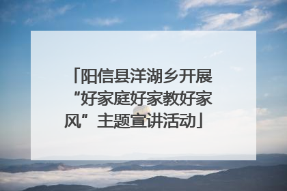 阳信县洋湖乡开展“好家庭好家教好家风”主题宣讲活动