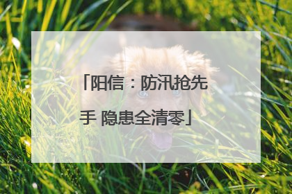 阳信：防汛抢先手 隐患全清零