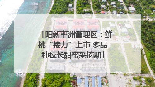 阳新率洲管理区：鲜桃“接力”上市 多品种拉长甜蜜采摘期