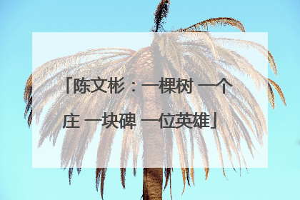 陈文彬：一棵树 一个庄 一块碑 一位英雄