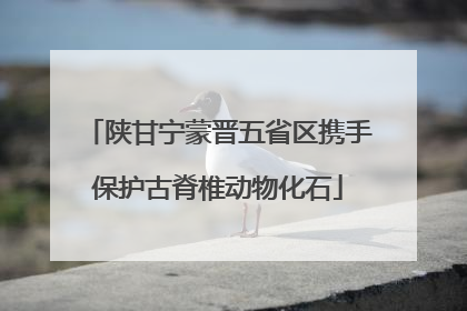 陕甘宁蒙晋五省区携手保护古脊椎动物化石