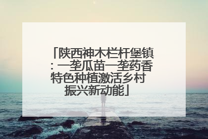 陕西神木栏杆堡镇：一垄瓜苗一垄药香 特色种植激活乡村振兴新动能