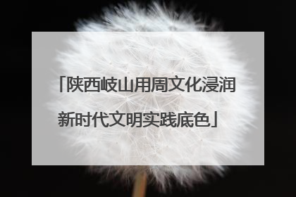 陕西岐山用周文化浸润新时代文明实践底色