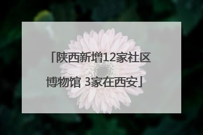 陕西新增12家社区博物馆 3家在西安
