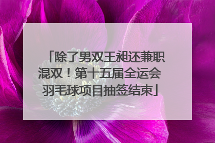 除了男双王昶还兼职混双！第十五届全运会羽毛球项目抽签结束