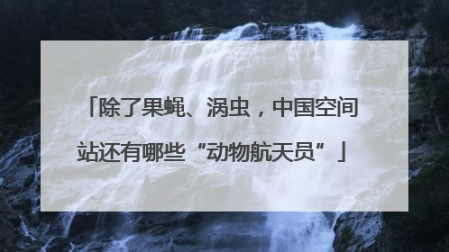 除了果蝇、涡虫，中国空间站还有哪些“动物航天员”