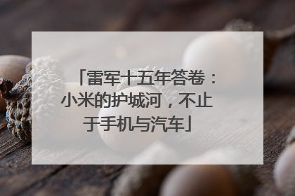 雷军十五年答卷：小米的护城河，不止于手机与汽车