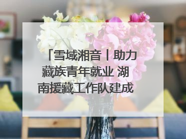 雪域湘音丨助力藏族青年就业 湖南援藏工作队建成西藏首个清洁能源装备园