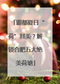 霸都夏日“荷”其美？解锁合肥五大绝美荷塘