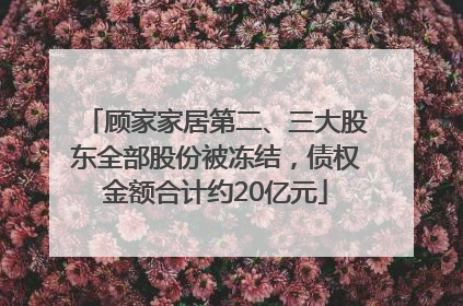 顾家家居第二、三大股东全部股份被冻结，债权金额合计约20亿元