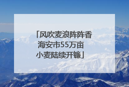 风吹麦浪阵阵香 海安市55万亩小麦陆续开镰