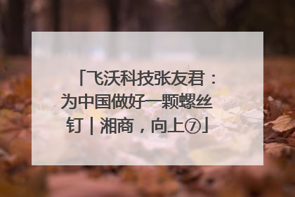 飞沃科技张友君：为中国做好一颗螺丝钉｜湘商，向上⑦