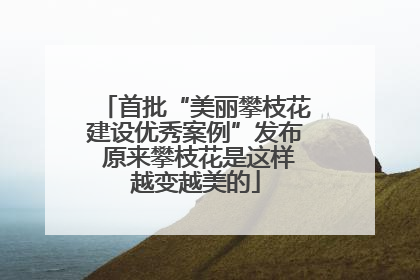 首批“美丽攀枝花建设优秀案例”发布 原来攀枝花是这样越变越美的