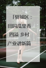 驿城区：田园瓜果香四溢 乡村产业谱新篇