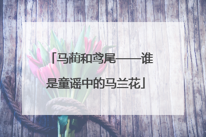 马蔺和鸢尾——谁是童谣中的马兰花