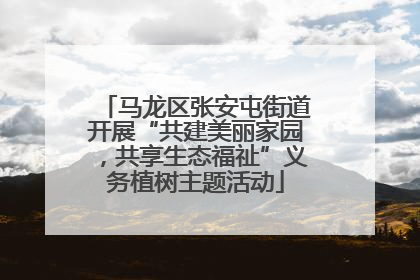 马龙区张安屯街道开展“共建美丽家园，共享生态福祉”义务植树主题活动