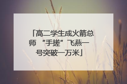 高二学生成火箭总师 “手搓”飞燕一号突破一万米