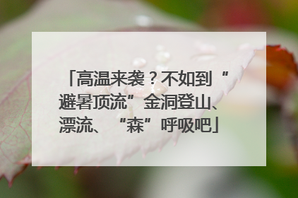 高温来袭？不如到“避暑顶流”金洞登山、漂流、“森”呼吸吧