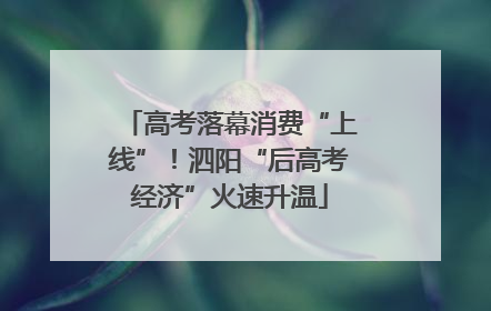 高考落幕消费“上线”！泗阳“后高考经济”火速升温