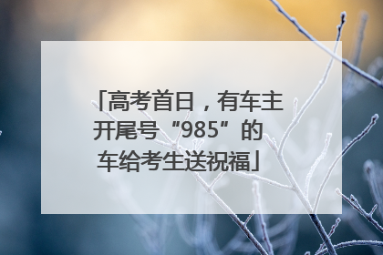 高考首日，有车主开尾号“985”的车给考生送祝福