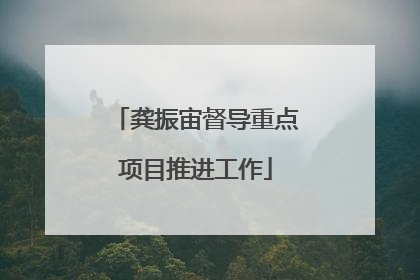 龚振宙督导重点项目推进工作