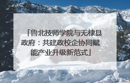 鲁北技师学院与无棣县政府：共建政校企协同赋能产业升级新范式