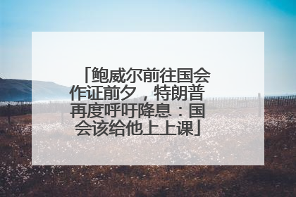 鲍威尔前往国会作证前夕，特朗普再度呼吁降息：国会该给他上上课