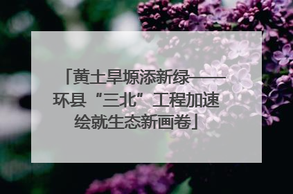 黄土旱塬添新绿——环县“三北”工程加速绘就生态新画卷