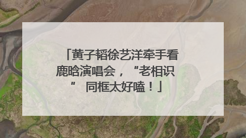黄子韬徐艺洋牵手看鹿晗演唱会，“老相识” 同框太好嗑！