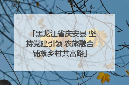 黑龙江省庆安县 坚持党建引领 农旅融合铺就乡村共富路