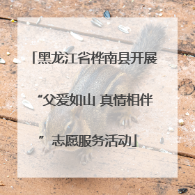 黑龙江省桦南县开展“父爱如山 真情相伴”志愿服务活动