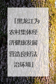 黑龙江为农村集体经济健康发展营造良好法治环境
