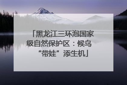 黑龙江三环泡国家级自然保护区：候鸟“带娃”添生机