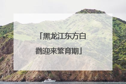 黑龙江东方白鹳迎来繁育期