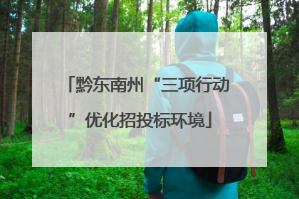 黔东南州“三项行动”优化招投标环境