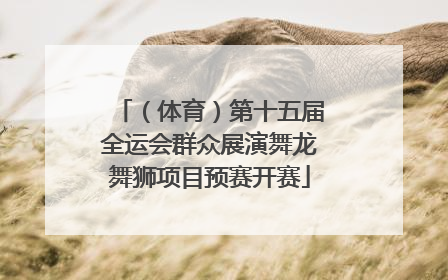 （体育）第十五届全运会群众展演舞龙舞狮项目预赛开赛