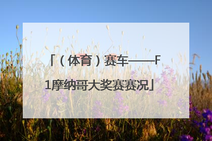 （体育）赛车——F1摩纳哥大奖赛赛况