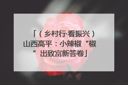 （乡村行·看振兴）山西高平：小辣椒“椒”出致富新答卷