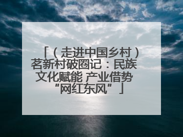 （走进中国乡村）茗新村破圈记：民族文化赋能 产业借势 “网红东风”