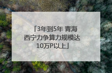 3年到5年 青海西宁力争算力规模达10万P以上