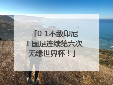 0-1不敌印尼！国足连续第六次无缘世界杯！