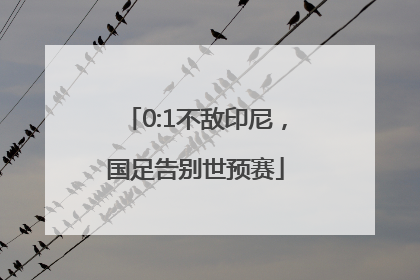 0:1不敌印尼，国足告别世预赛