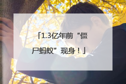 1.3亿年前“僵尸蚂蚁”现身！