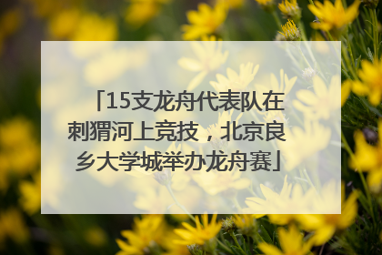 15支龙舟代表队在刺猬河上竞技，北京良乡大学城举办龙舟赛
