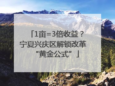 1亩=3倍收益？宁夏兴庆区解锁改革“黄金公式”