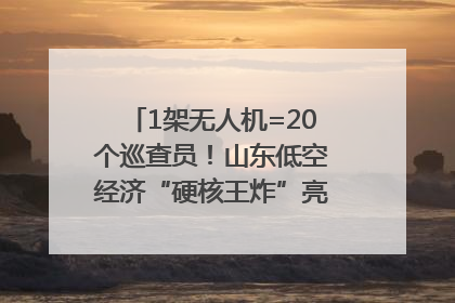 1架无人机=20个巡查员！山东低空经济“硬核王炸”亮相青岛，下一个万亿赛道藏在这里