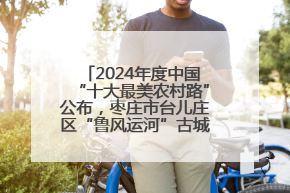 2024年度中国“十大最美农村路”公布，枣庄市台儿庄区“鲁风运河”古城文化廊道上榜！
