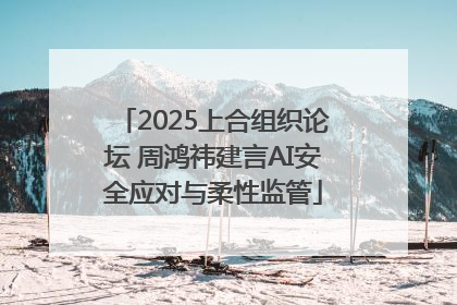 2025上合组织论坛 周鸿祎建言AI安全应对与柔性监管