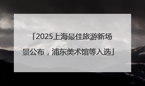2025上海最佳旅游新场景公布，浦东美术馆等入选