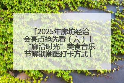 2025年廊坊经洽会亮点抢先看（六）丨“廊洽时光”美食音乐节解锁潮酷打卡方式